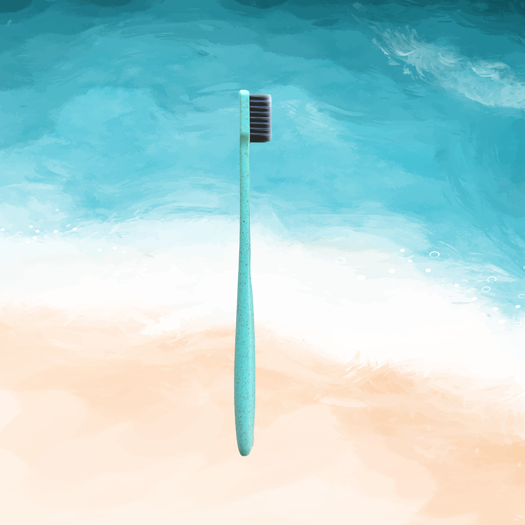 v_ EMBI 6 Pack of soft, small head Bamboo Charcoal Toothbrushes