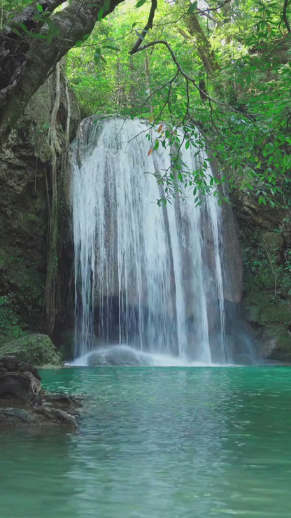 Denta-Med Dry Mouth Moisturising BUNDLE_2 (60mL Spray, 65mL Gel, 250mL Mouthwash)